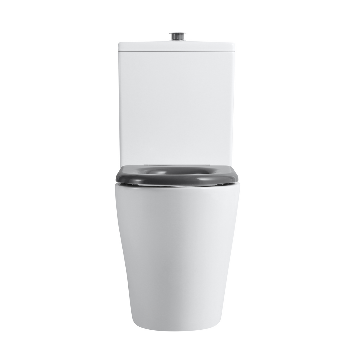 Ultra Access Back-to-Wall Rimless Flushing Accessible Toilet in Gloss White