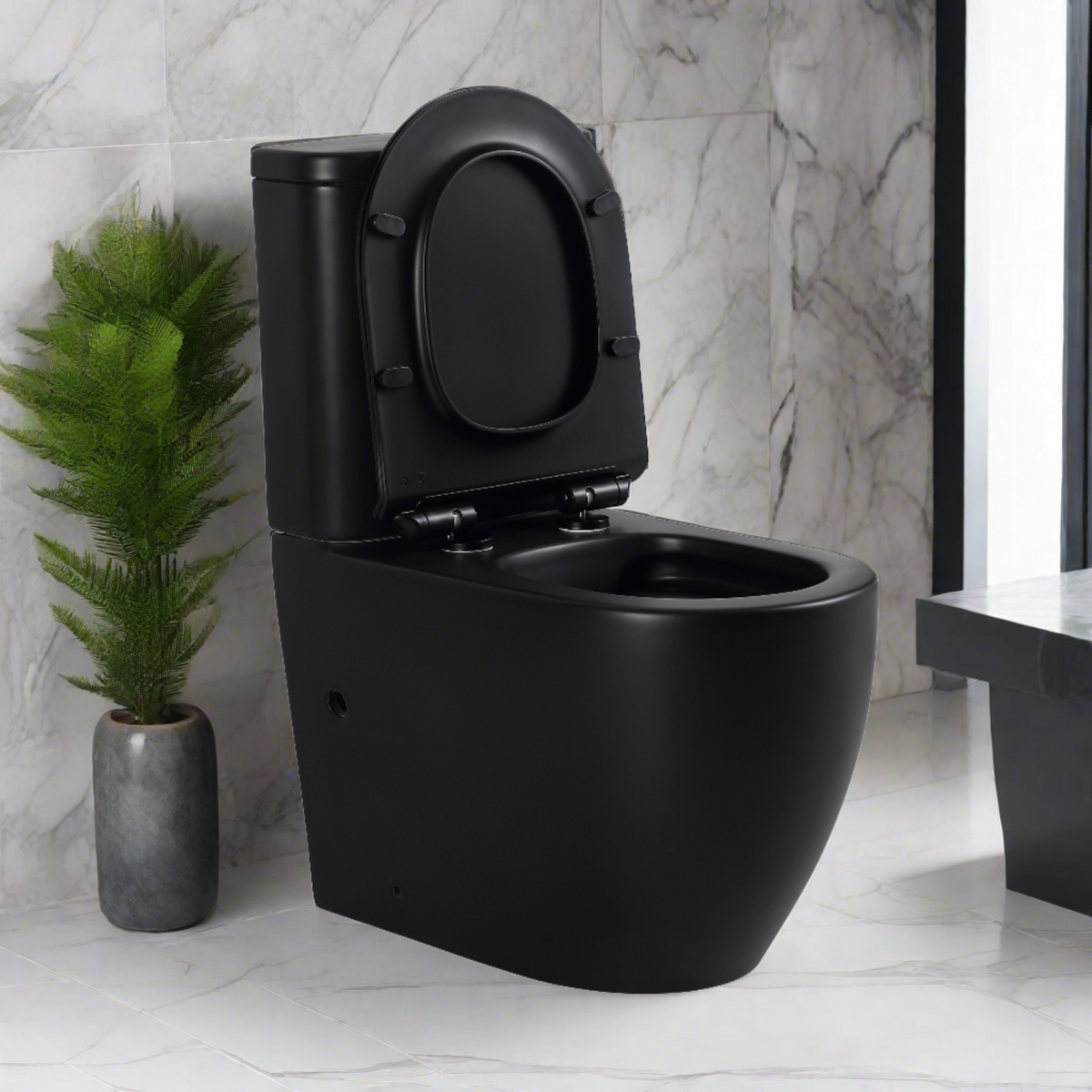 Mini Cyclone Back-to-Wall Toilet Suite in Matte Black