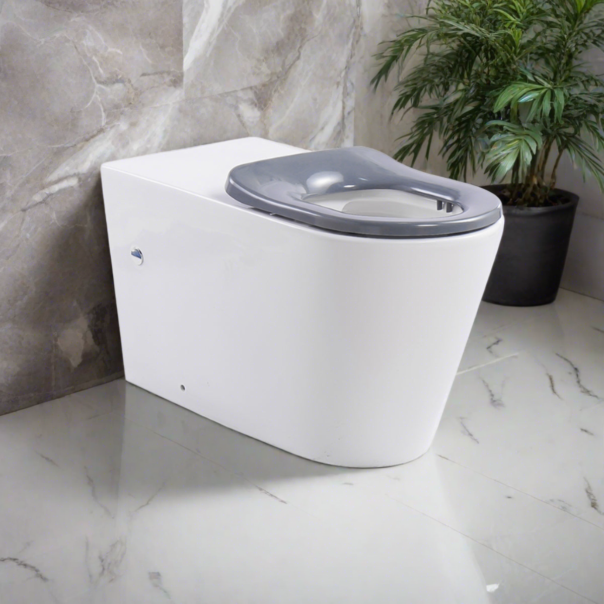 Ultra Access Rimless Floor Mounted Pan with Niche In-Wall Cistern and Push Plate