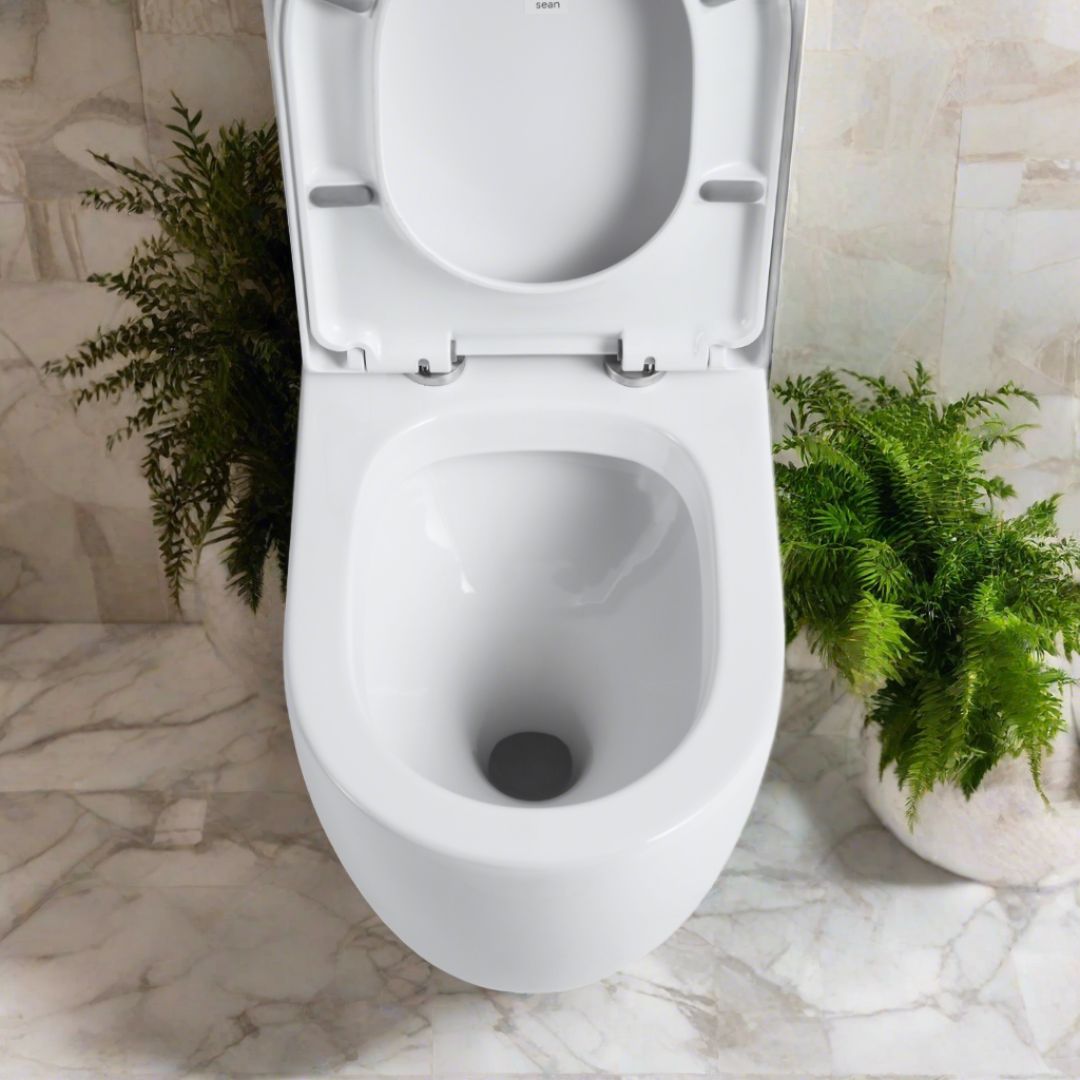 Hurricane Back-to-Wall Toilet Suite in Gloss White