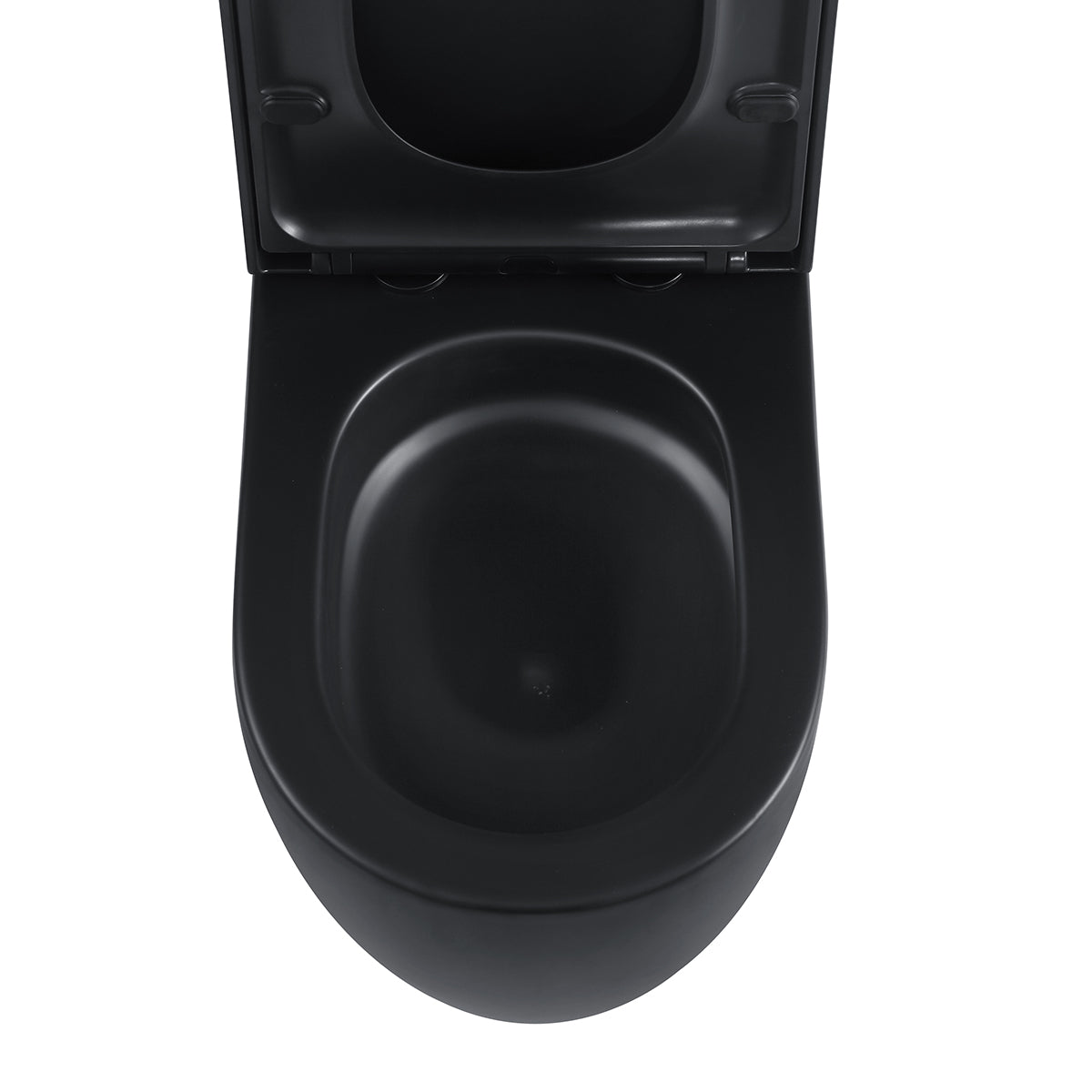 Hurricane Zero Rim Back-to-Wall Toilet Suite in Matte Black