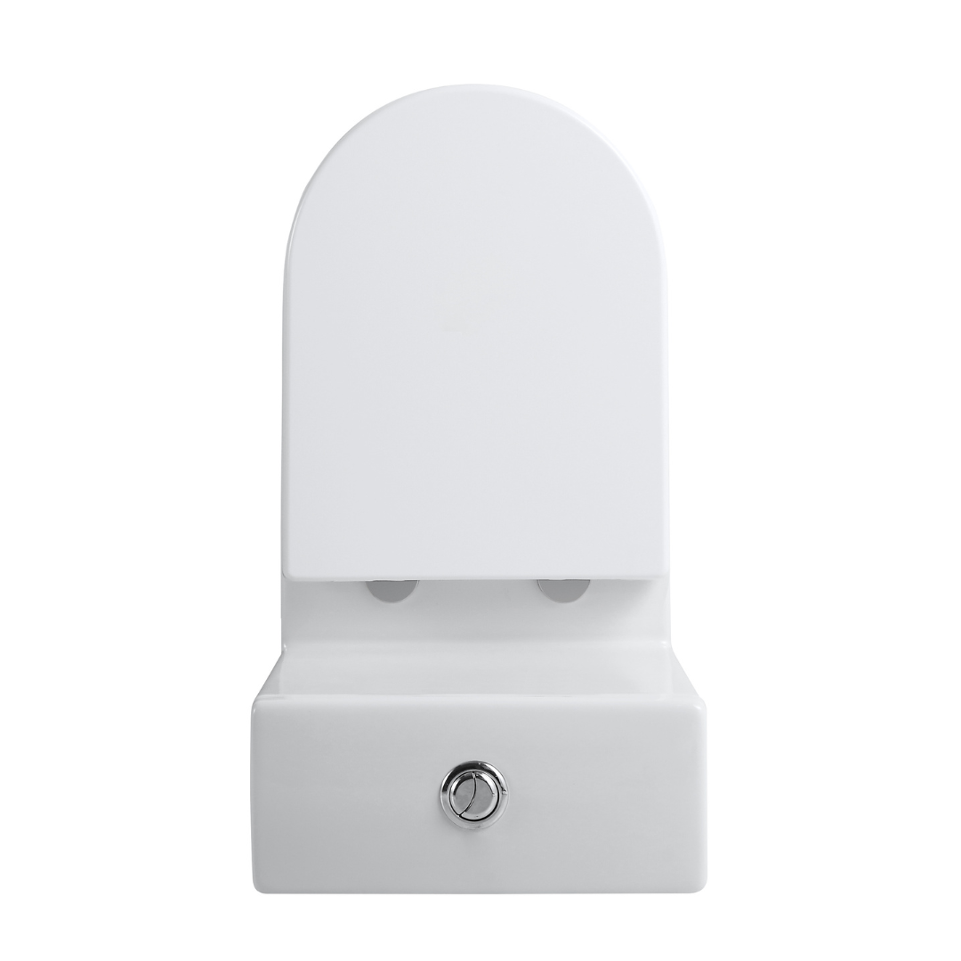 Masterful Design, Powerful Function - Gloss White Hurricane Toilet for Effortless Operation
