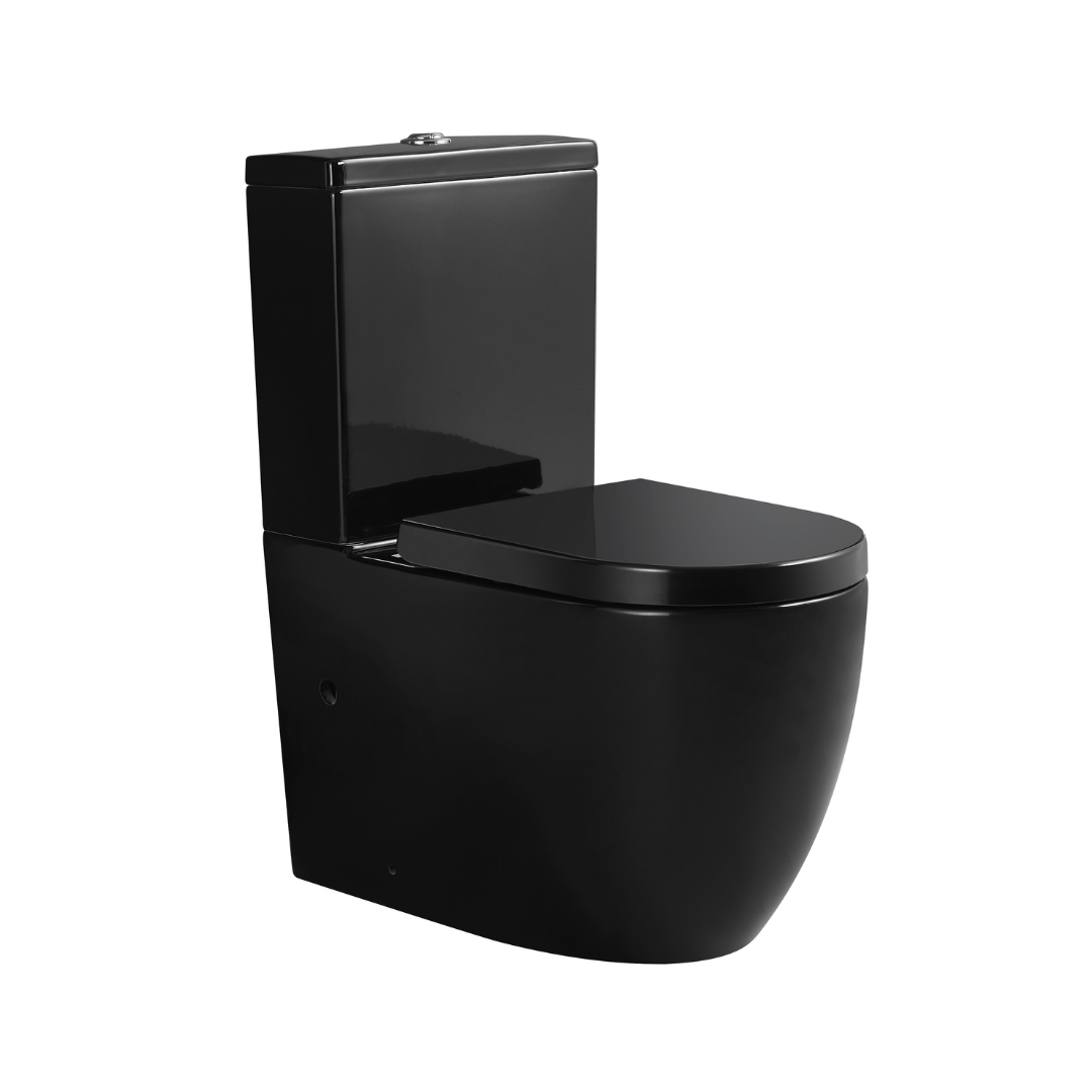 Gloss Black Toilet with a thick gloss black toilet seat